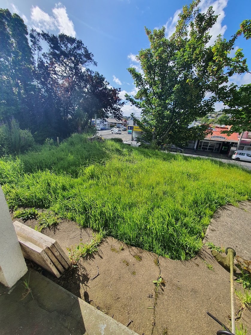 Lawn mowing and edging in Dunedin