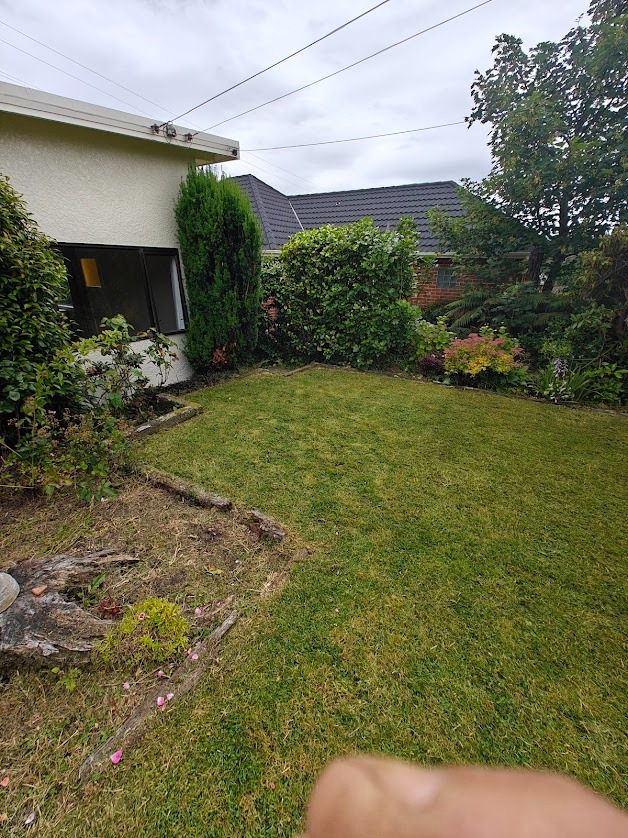 Pressure washing driveway and paths