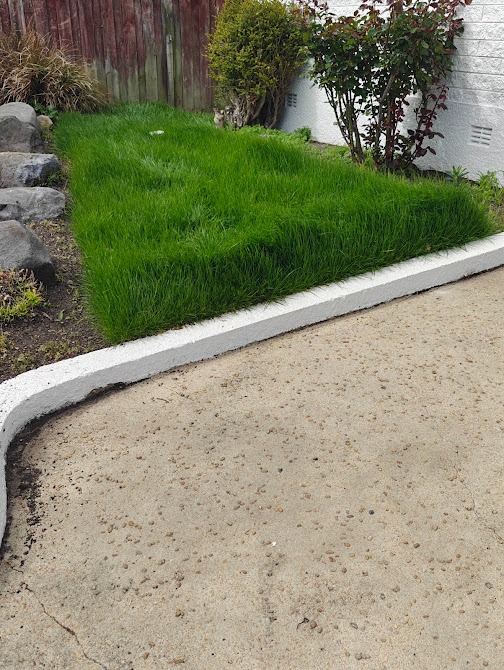 Roof treatment and care