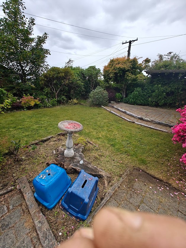 Roof treatment and care